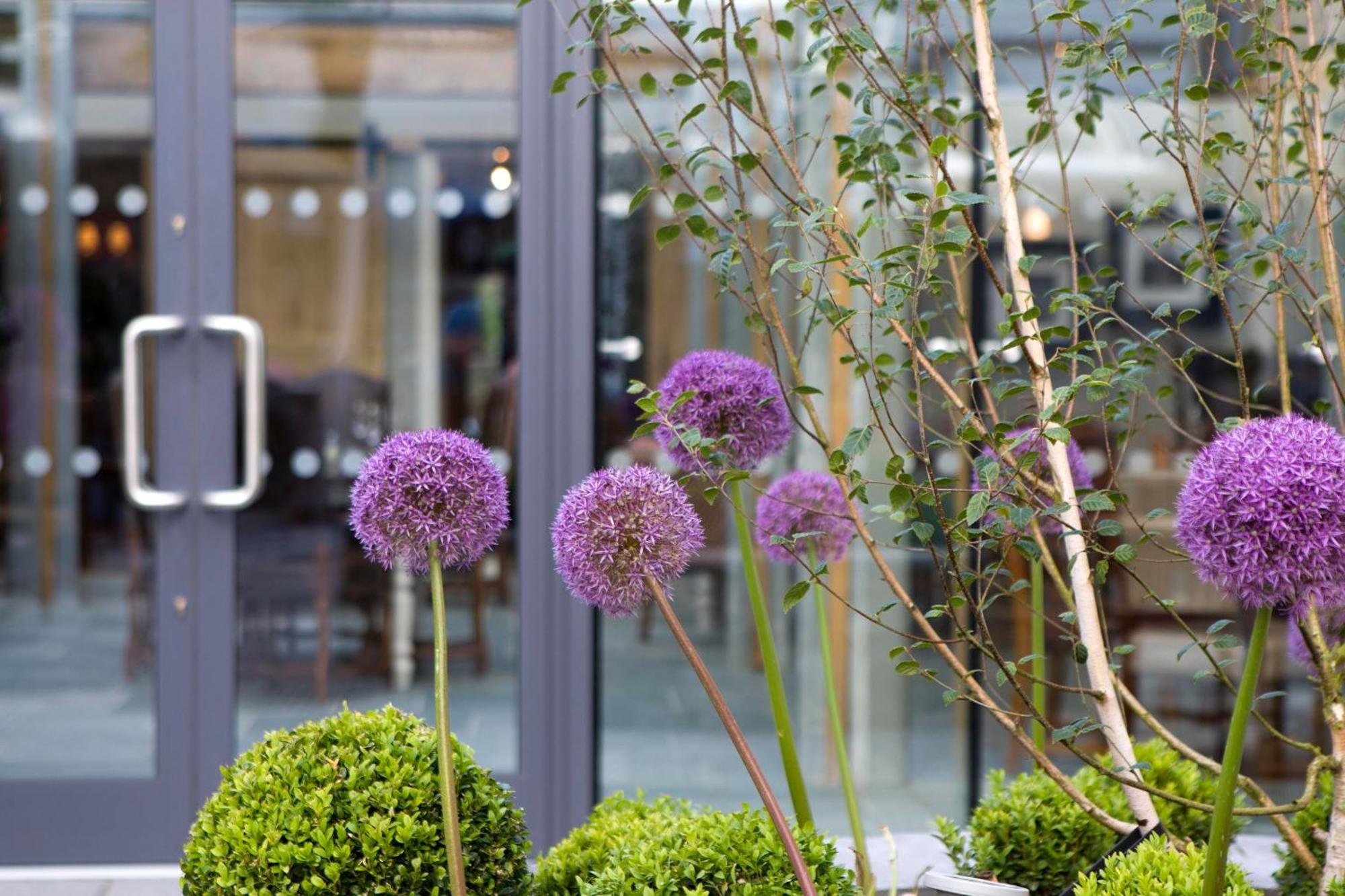 The Three Crowns Hotel Chagford Buitenkant foto The exterior of the hotel